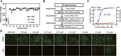 Clofazimine: A Promising Inhibitor of Rabies Virus